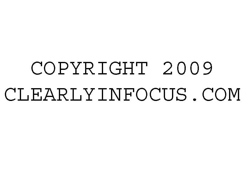 CLEARLY IN FOCUS PHOTOGRAPHY