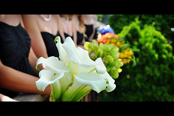 To Order Prints E-Mail Prints@ClearlyInFocus.com