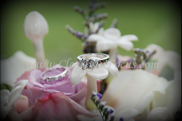 To Order Prints E-Mail Prints@ClearlyInFocus.com