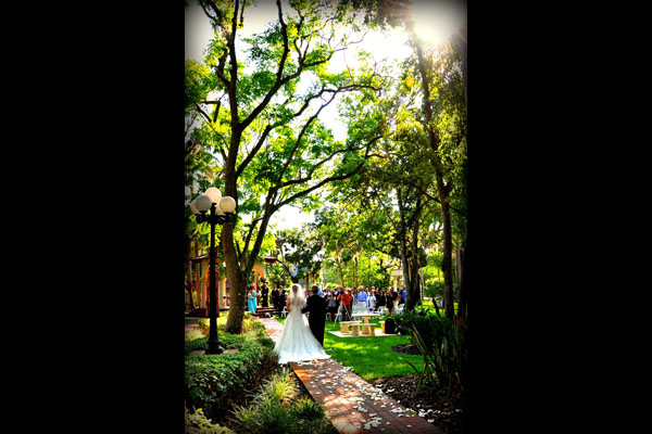 To Order Prints E-Mail Prints@ClearlyInFocus.com