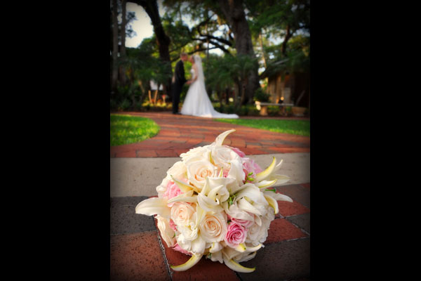 To Order Prints E-Mail Prints@ClearlyInFocus.com